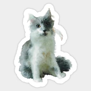 Fluffy Gray and White Cat Sticker